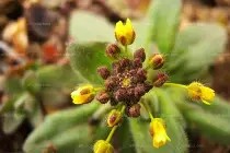 ?z?臓巶@?VD苈SuH张a枱晻雸REr3`噪?KM兯?茫?耎dbc篹?播yU"層d跱0??T縕隖dPdBＨ堅X3$燰`蝜D的简单介绍-竞技宝体育