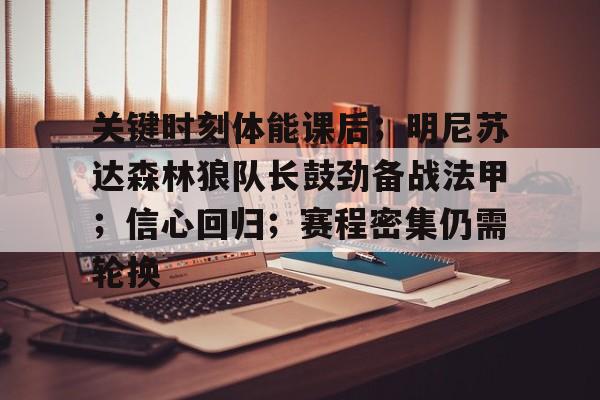 明尼苏达森林狼整体战术介绍分析